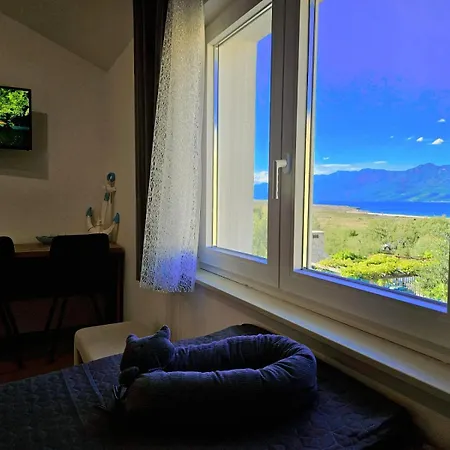 Izziy -zadar, By The With A Sea View And Heated Pool Willa